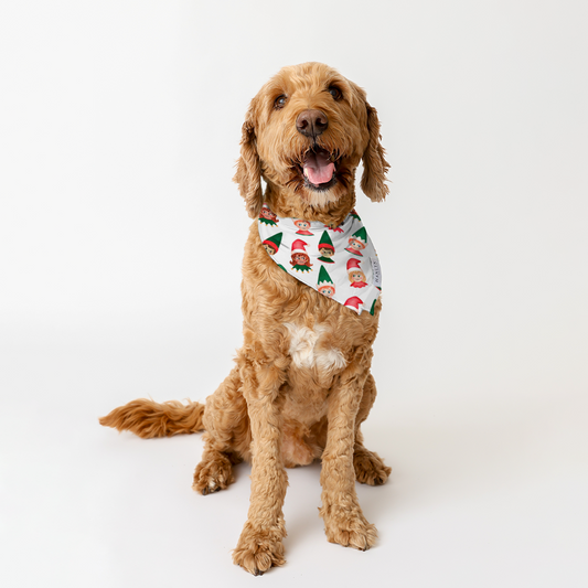 Santa's Little Helper Animal Bandana