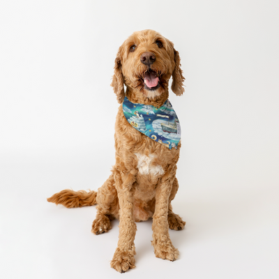 Aurora Adventures Animal Bandana