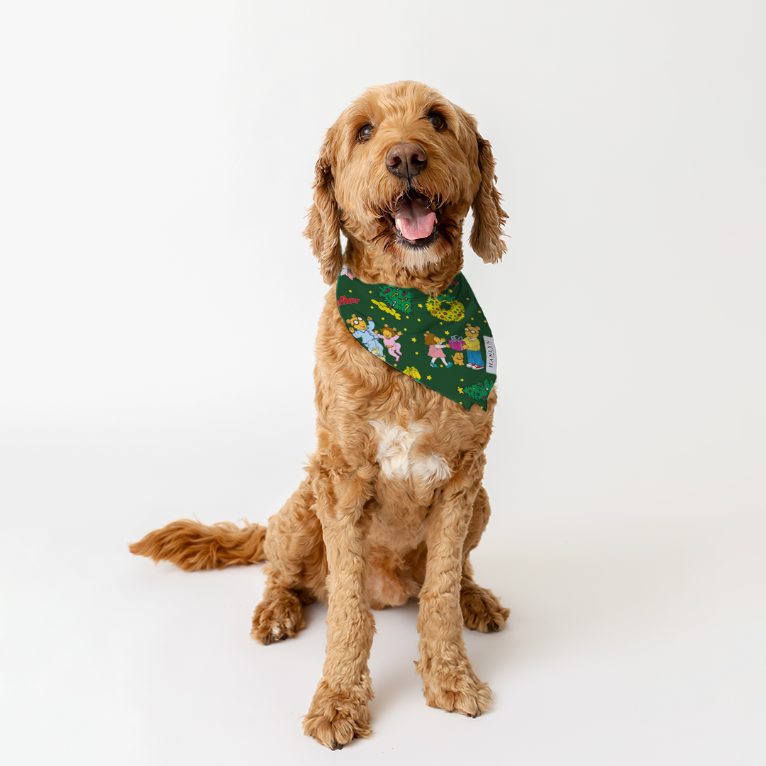 Arthur's Holiday Wishes Animal Bandana | Arthur™