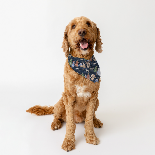 Star Of Wonder Animal Bandana