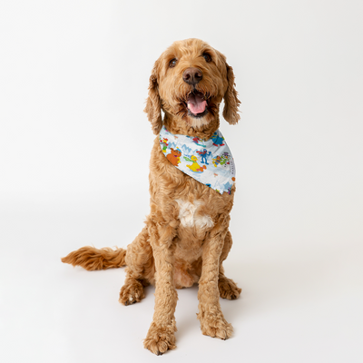 Snow Day Animal Bandana | Sesame Street™