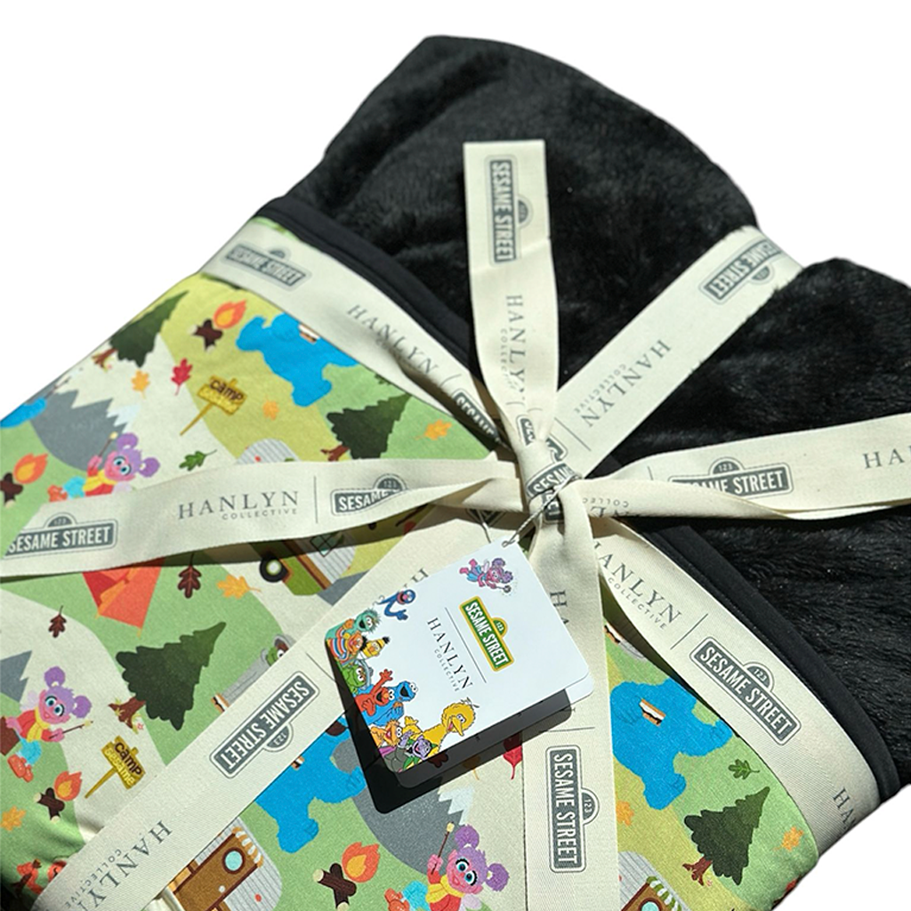 Camp Sesame PLUSH Adult Blanket (50x65) | Sesame Street