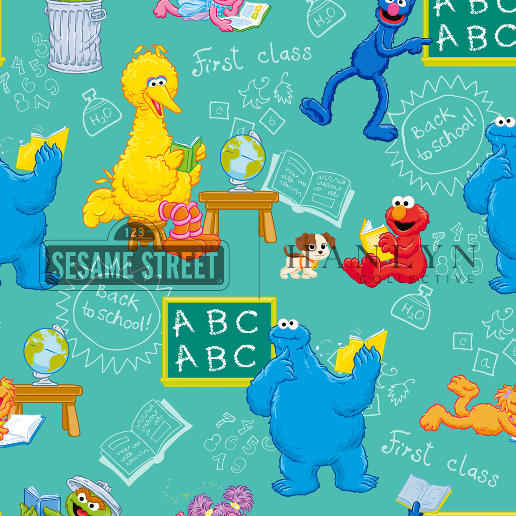 Learning Is FUN Bamboo Adult Blanket (50x65) | Sesame Street
